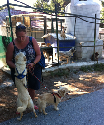 Saying goodbye to Caroline and Arris - Skiathos Dog Shelter