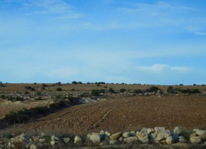 On the desert road from Marrakech to Essaouira