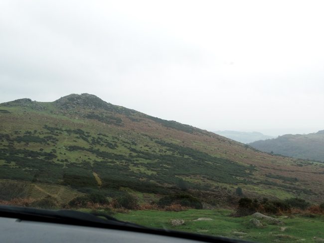 Dartmoor NP