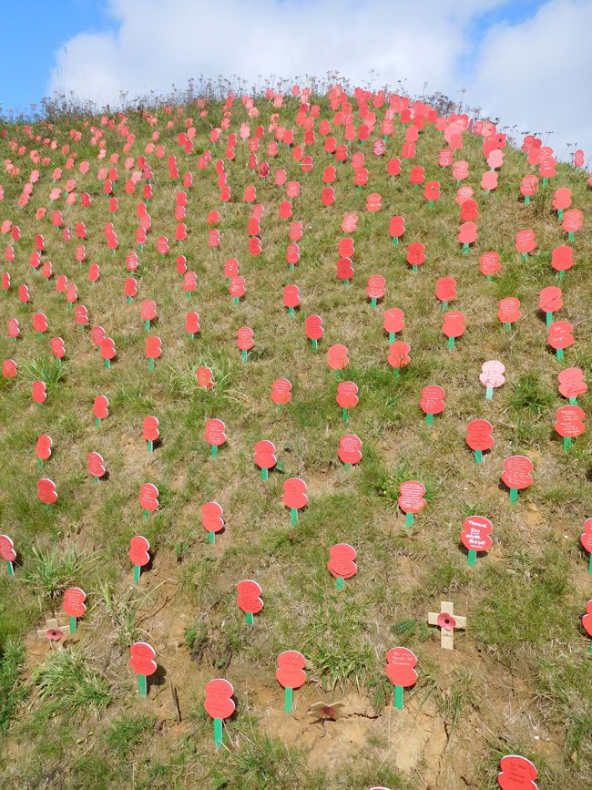 Poppies with handwritten messages to commemorate the 100 years since the battle of the Somme outside the Thiepval Memorial Visitors Centre.