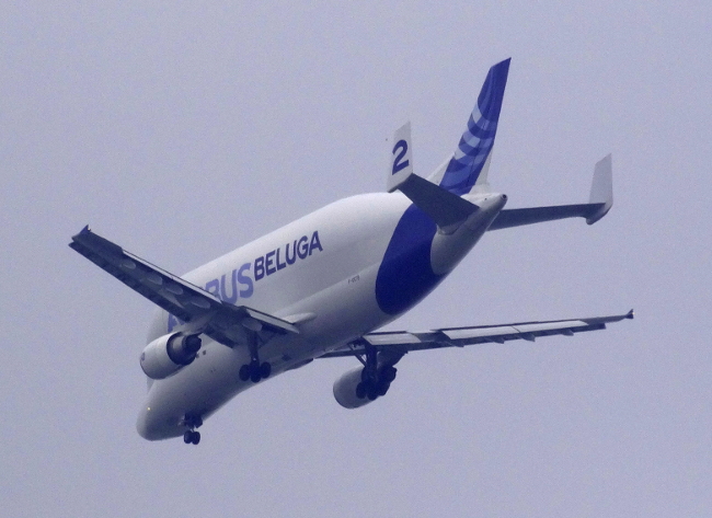 The aptly named "Beluga"