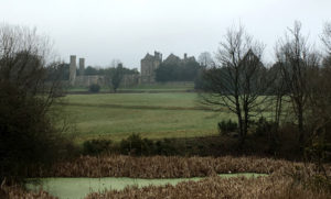 The bottom the ridge, looking towards Battle Abbey, the direction William and his Norman army would have faced.