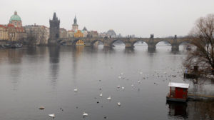 Vltava River and Charles Bridge after coming down from Prague Castle.