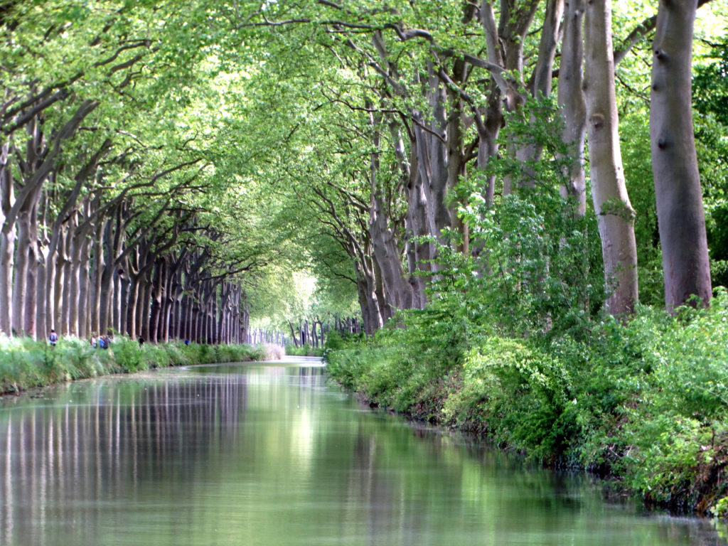 No waves on the Canal du Midi.