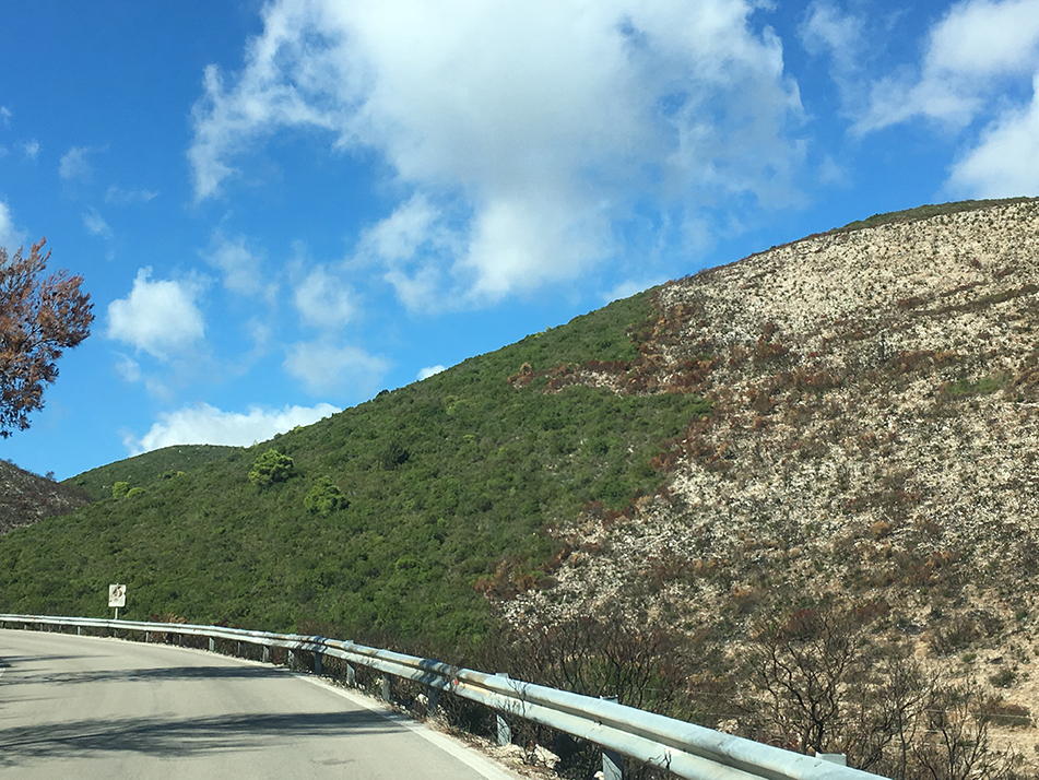 Previous bushfires on Zante left scars all over the landscape